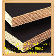 18mm Poplar Core WBP Glue Brown Film Faced Plywood